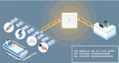 生命體征持續(xù)監(jiān)測(cè),桂花網(wǎng)與質(zhì)子科技攜手守護(hù)患者健康